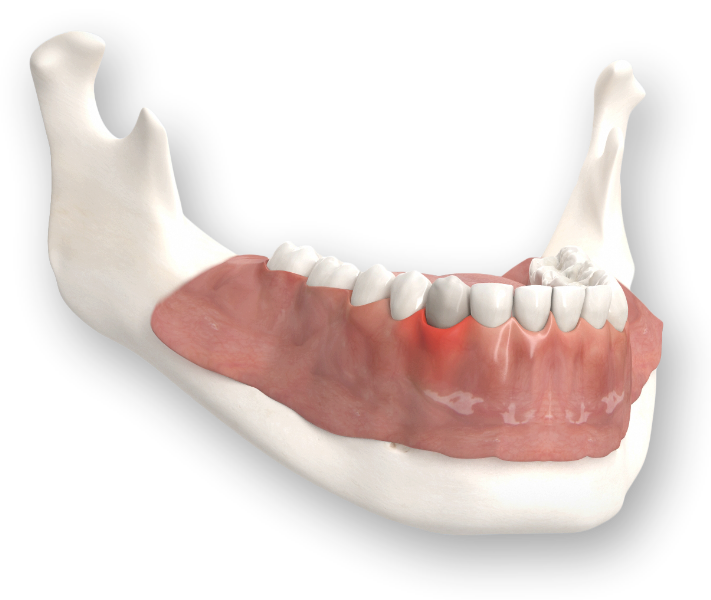 3D-Animationen